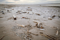 Formby Point
